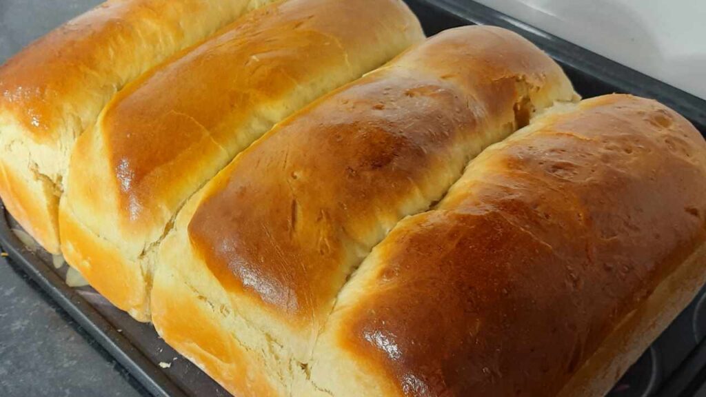 356530553 1141159276597004 5209165925818431399 n